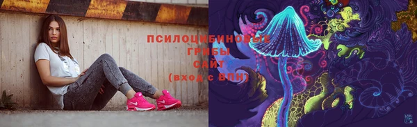 герыч Алексин