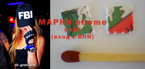 шишки Бежецк