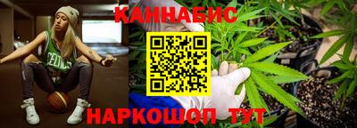 a pvp Брянск